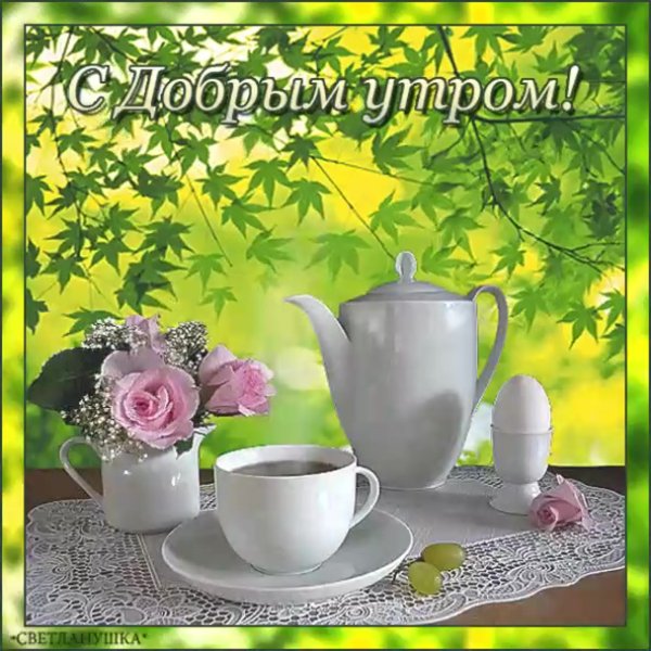 Хорошего воскресного дня и отличного настроения