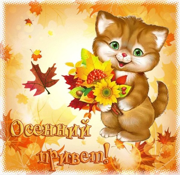 Открытки осенний приветик