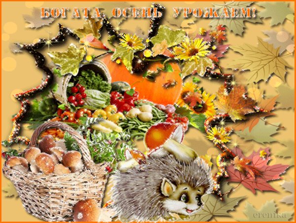 С урожаем поздравляю