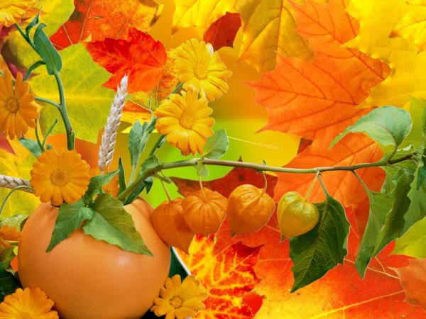 Открытки с бабьим летом