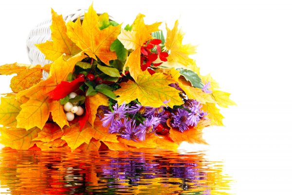 Осенний букет цветов
