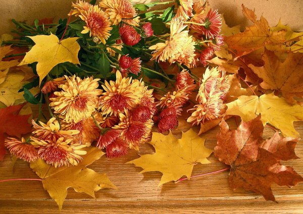 Осенний букет