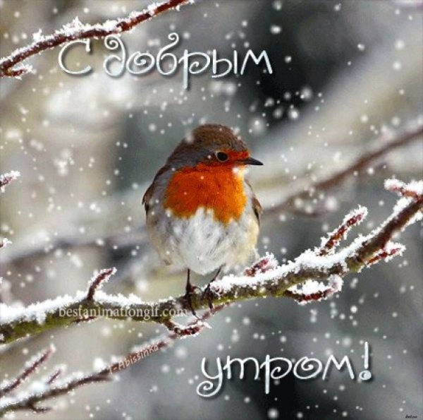 Сдобрым утром со сгегом