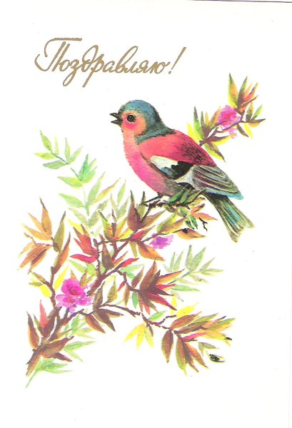 Открытки Манилова СССР