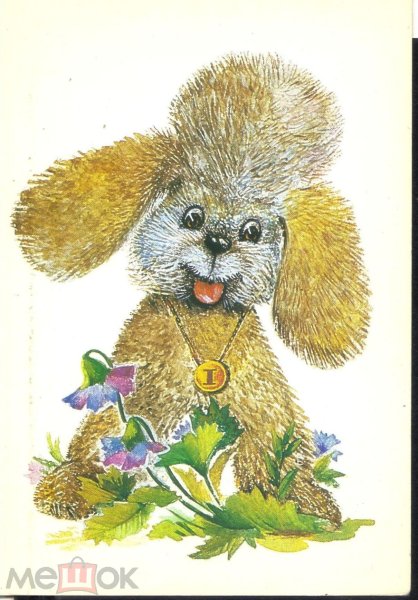 Советские открытки с собачкой и цветами