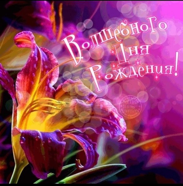 Иллюстрации Мила Маргус