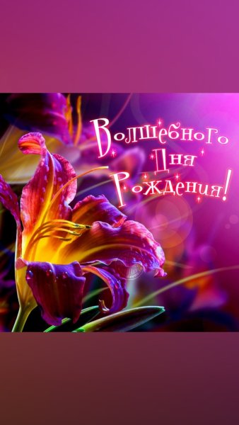 Спокойной ночи волшебница