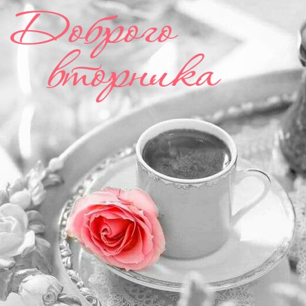 Доброе зимнее утро вторника прикольное