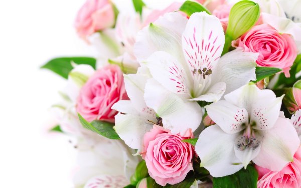 С днём рождения Катя