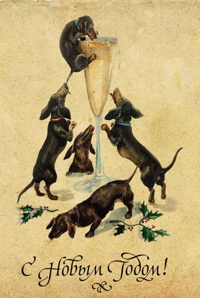 Новогодняя открытка с таксой