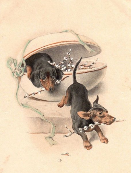 Иллюстрации Еремина-Ношин таксы