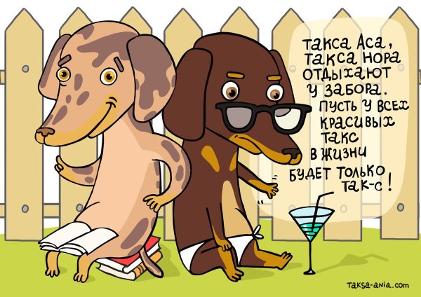 Открытки с таксами