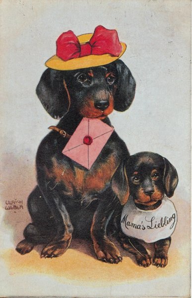 Открытки с таксами с днем рождения