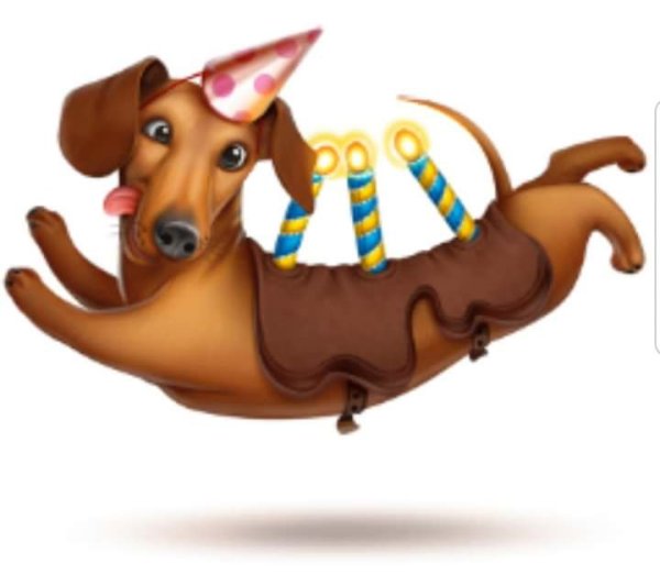 С днем рождения такса