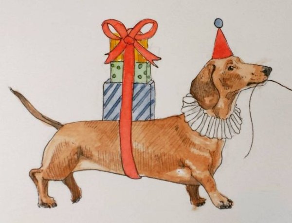 С днем рождения такса