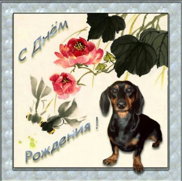 Открытка с новым годом с таксой