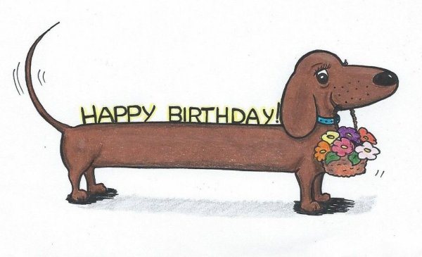 С днем рождения такса