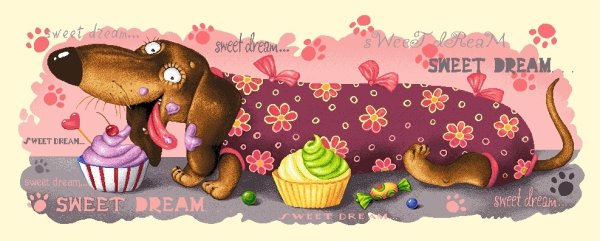 С днем рождения такса