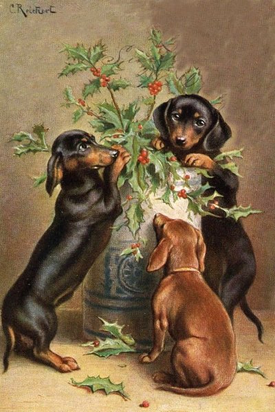 Такса Happy Birthday