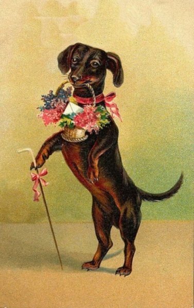 Открытки с таксами