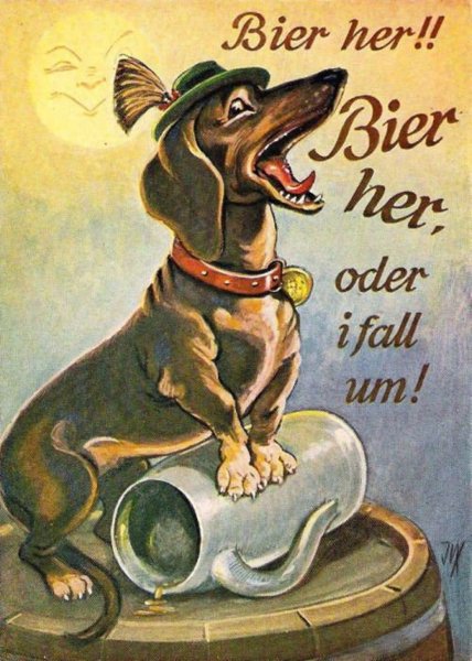 Иллюстрации Татьяна Пловецкая собака