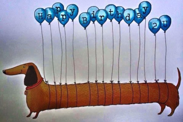 Открытки с таксами с днем рождения