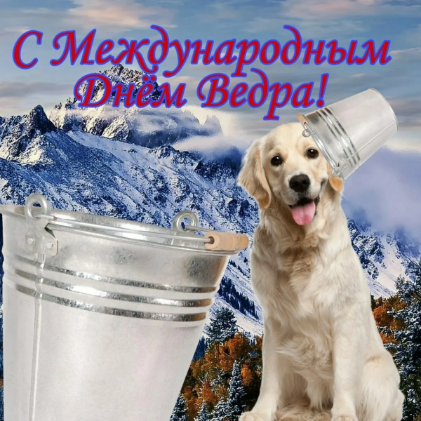 С международным днем ведра