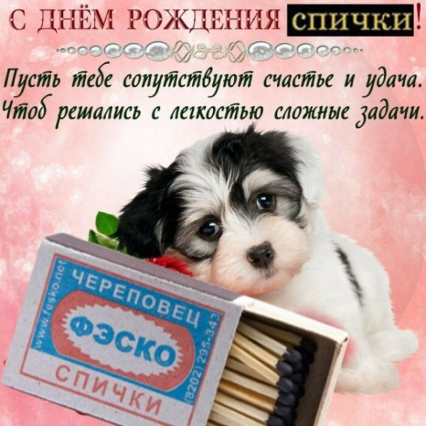 Поздравления с днём Мем