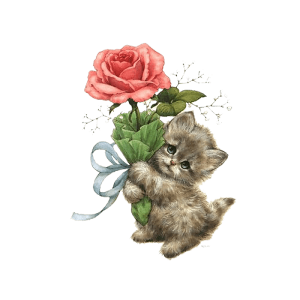 Котик с цветами на белом фоне