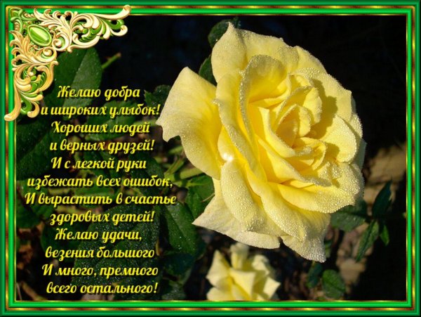 Красивые пожелания