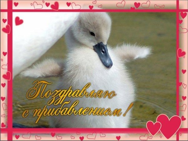 Открытки с рождением племянника