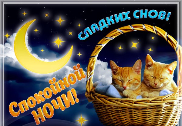 Доброй ночи приятных сновидений