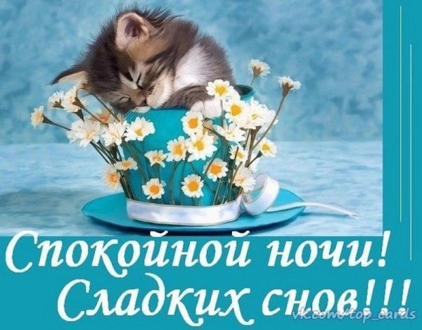 Открытки спокойной ночи сладких снов