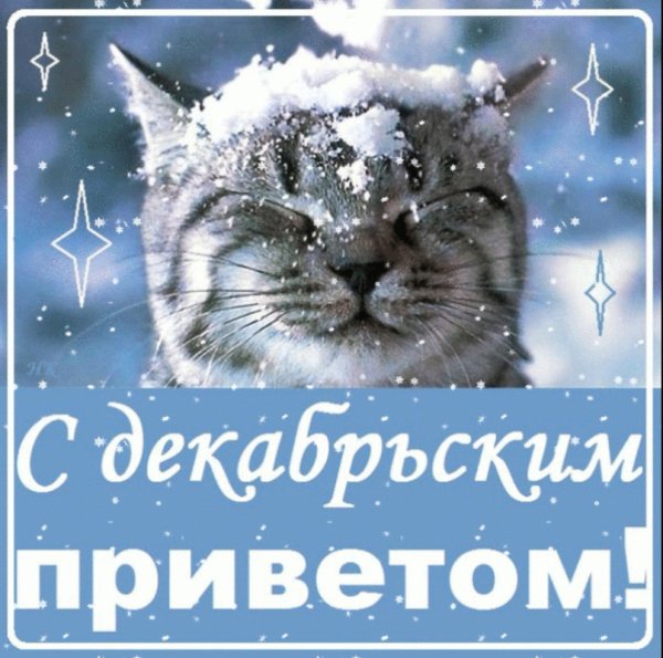 Предновогодний приветик