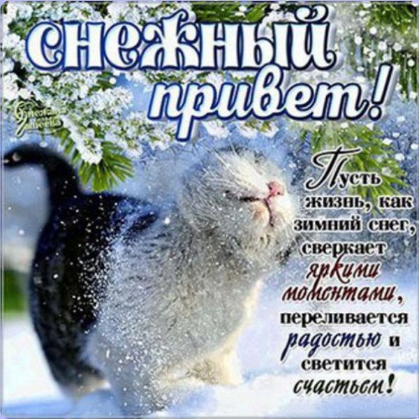 Открытки с зимним четвергом