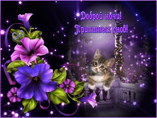 Доброй спокойной ночи