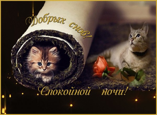 Открытки спокойной ночи