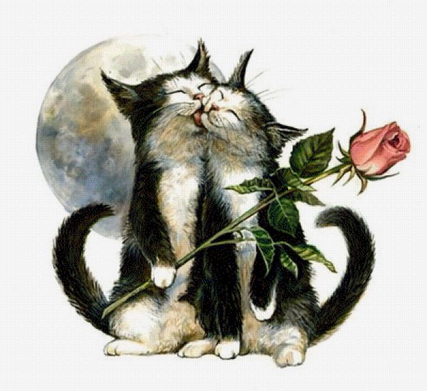 Открытка «котики»