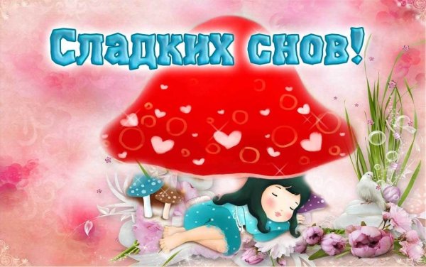 Спокойной ночи солнышко