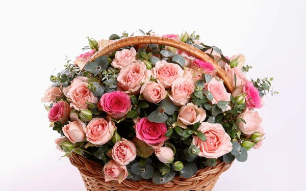 Букет шикарный