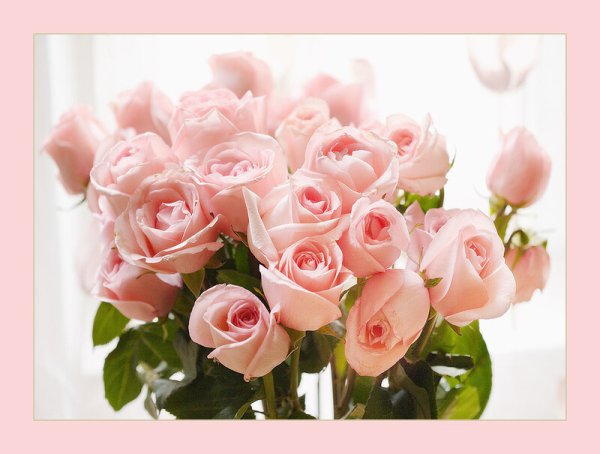 Поздравления с днём рождения Ольге