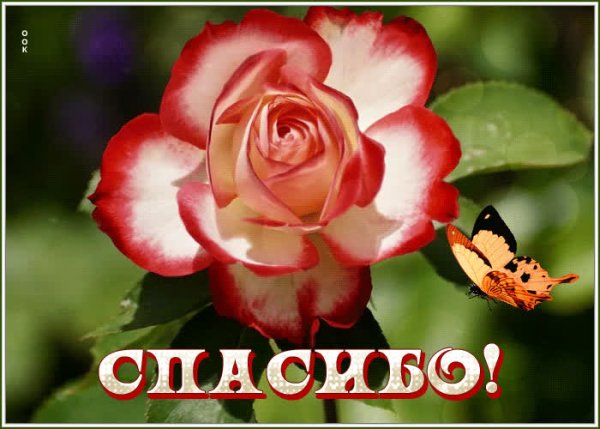 Благодарю от всей души