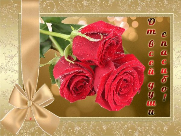 От души благодарю