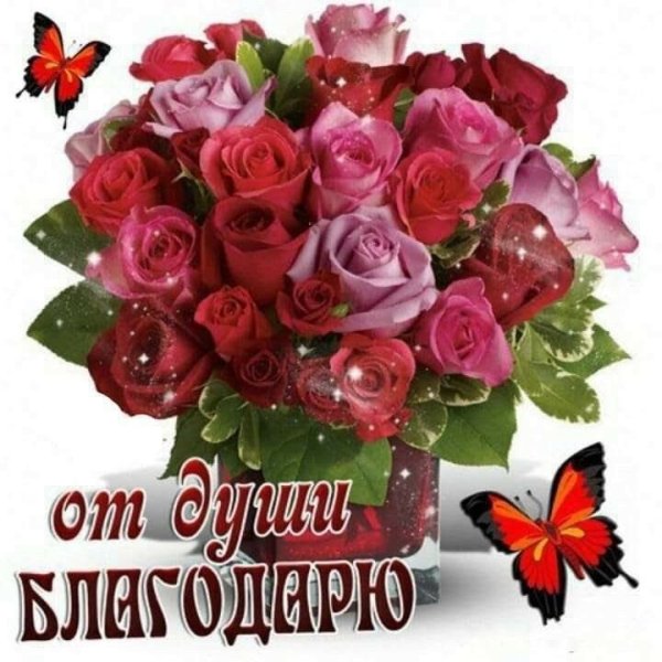 Спасибо большое от всей души