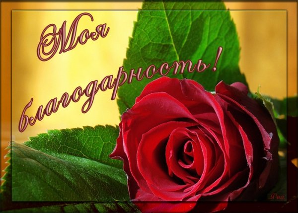 Благодарю от всей души