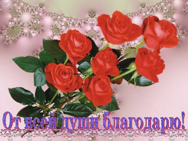 Открытка благодарю от всей души