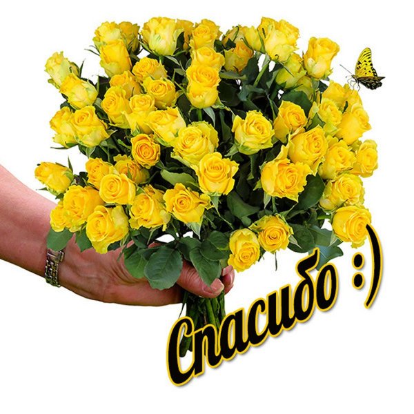 Благодарность женщине