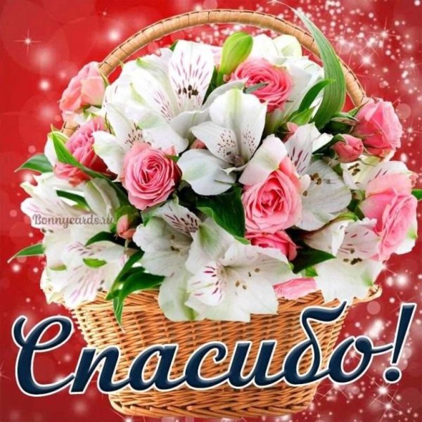 Спасибо цветы