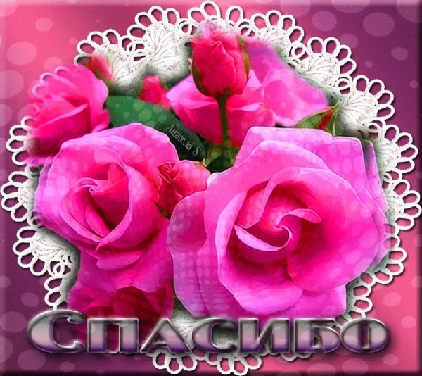 Спасибо открытки красивые