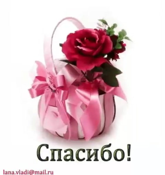 Сердечная благодарность